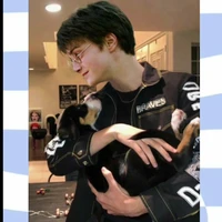 Harry Potter ⚡