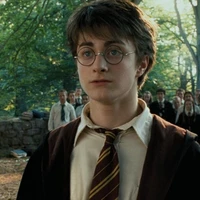 Harry Potter⚡
