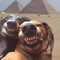 Quần chúng ăn dưa