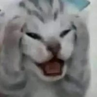 đầu đây bên kia