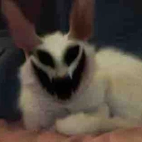 Tg