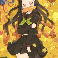 🎋Kamado nezuko🌸