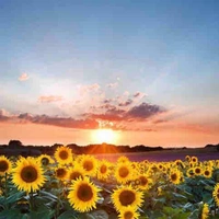 Tất cả nhân vật