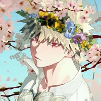 Bakugo Katsuki