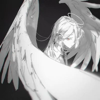 Y/n(ALylicat)
