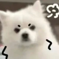 Bà tg