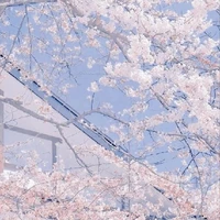 thành viên đội đối thủ