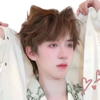 Hạ Tuấn Lâm