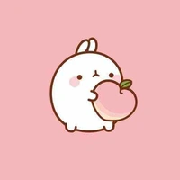 Thỏ cute phô mai que 