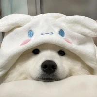 Ein đâyy =))