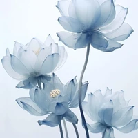 Các anh công -ai cần trừ