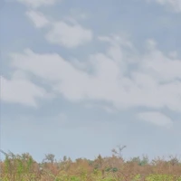 tất cả mọi người