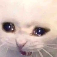 Mr.Táo