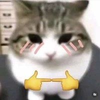 T/G