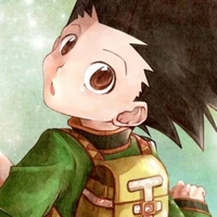 Gon Freecss