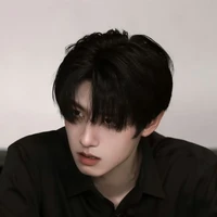 Chu Chí Hâm(anh 2 An)