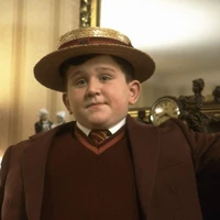 Dudley Dursley