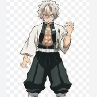 shinazugawa sanemi
