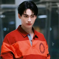 Win metawin