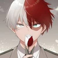 Todoroki Shoto
