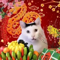 hệ thống 811