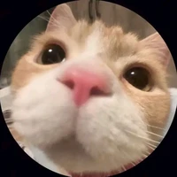 tao là tác giả =)) 