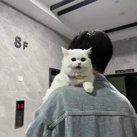 Nguyễn Tiến Đạt ( cậu )