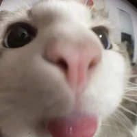 bố 606 (bố dượng)