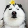 Quản lí công ty