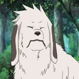 Akamaru