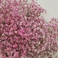 Mẹ