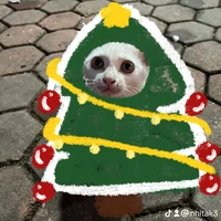 nhỏ tg thập cẩm