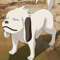Akamaru