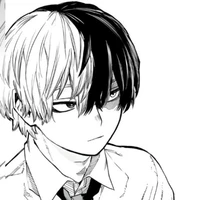 Shoto Todoroki