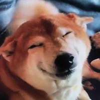 Nhỏ T/G su cà la x2