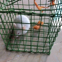 Thật thú vị