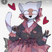 Nekomi Japan