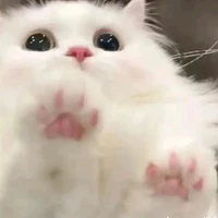 Tg mún nhập vai:)