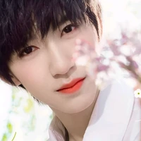 Hạ Tuấn Lâm