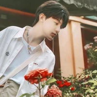 Trương Trạch Vũ