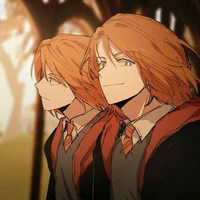 Anh em sinh đôi Weasley