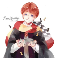 Ronald Arthur Weasley _ Gryffindor