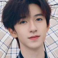 Hạ Tuấn Lâm ( papi của Tả Hàng