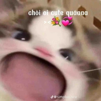 T/g siêu lười :)))