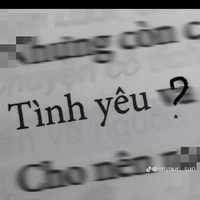 NNTV