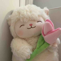 Bắc Chii đâyyy