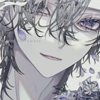 nhiếp hoài an-enigma