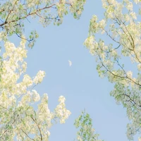 một số nhân vật quần chúng