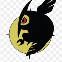 night raid