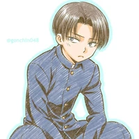 Levi